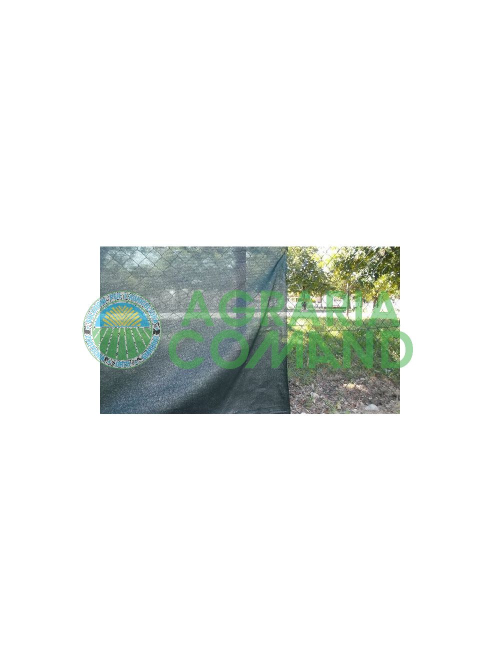 Rojo Robuxta arrigoni Rojo Robuxta arrigoni