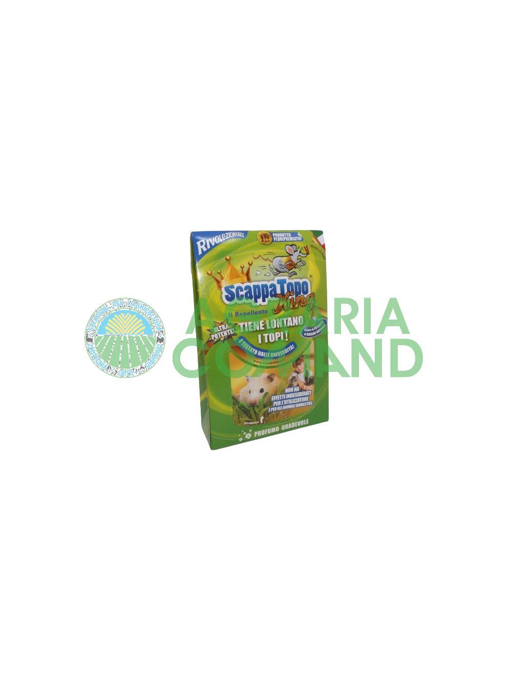 rey fugado rey fugado