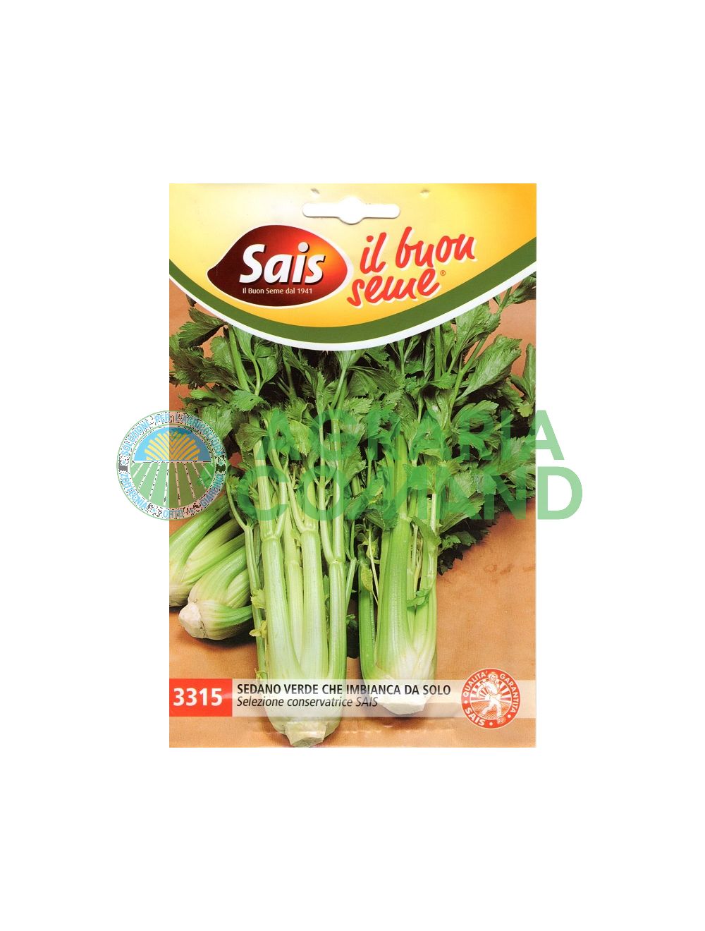 Las semillas de apio se blanquean Las semillas de apio se blanquean