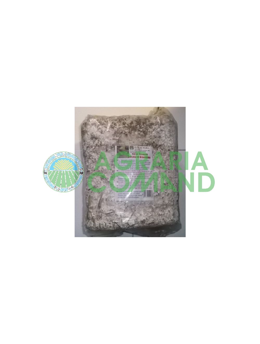 setas de baile shii take setas de baile shii take