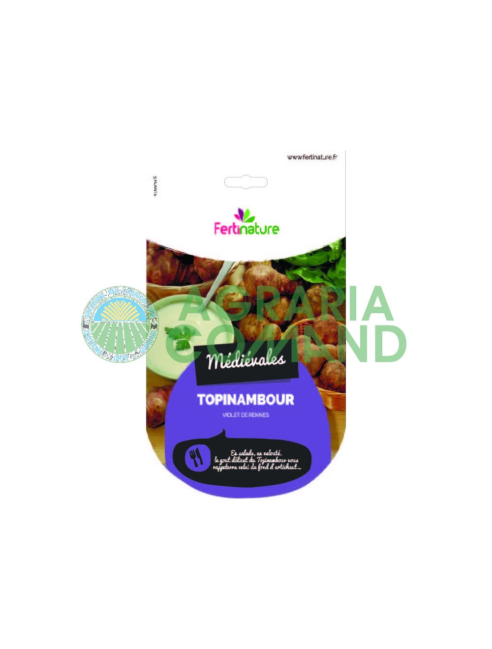 Tubérculo de semilla de pataca