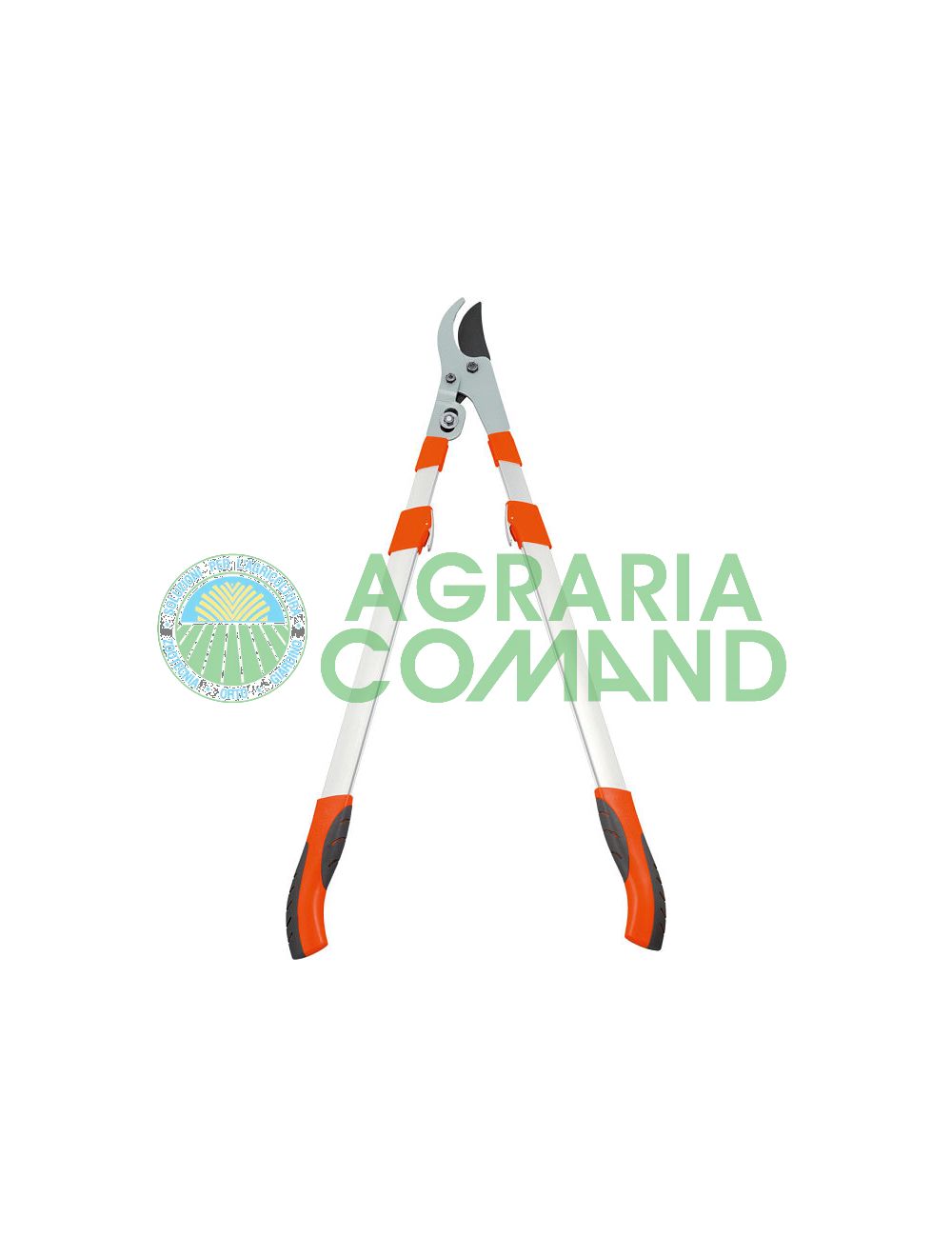 Leñadores_corte_bypass_2094 Leñadores_corte_bypass_2094