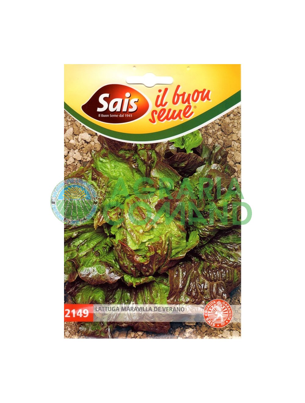 Lechuga meravilla de verano Lechuga meravilla de verano