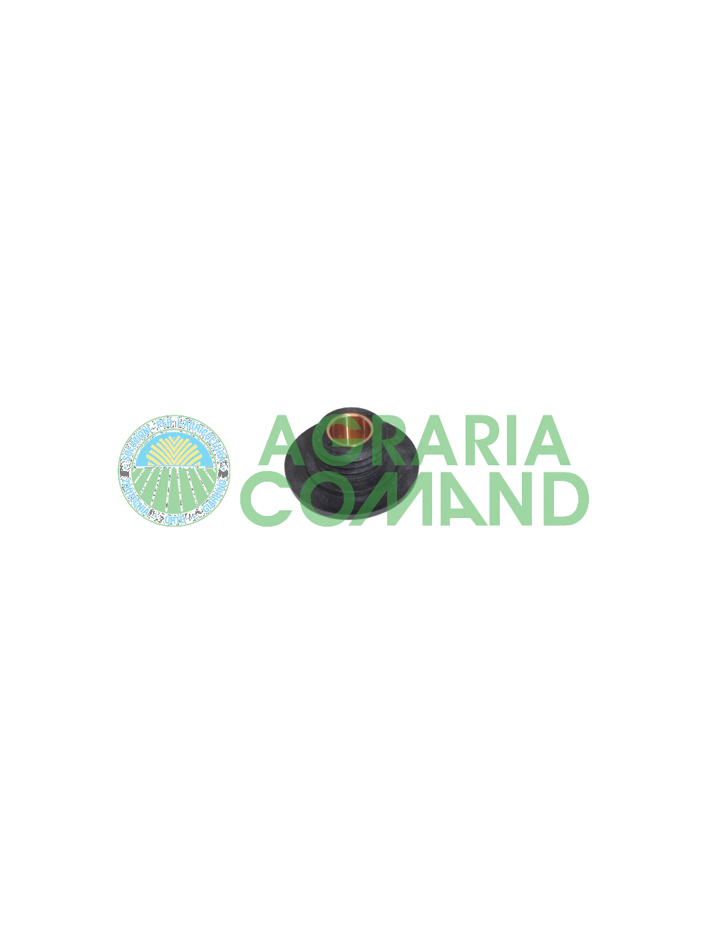 Tornillo sin fin de la bomba de aceite Walbro Tornillo sin fin de la bomba de aceite Walbro