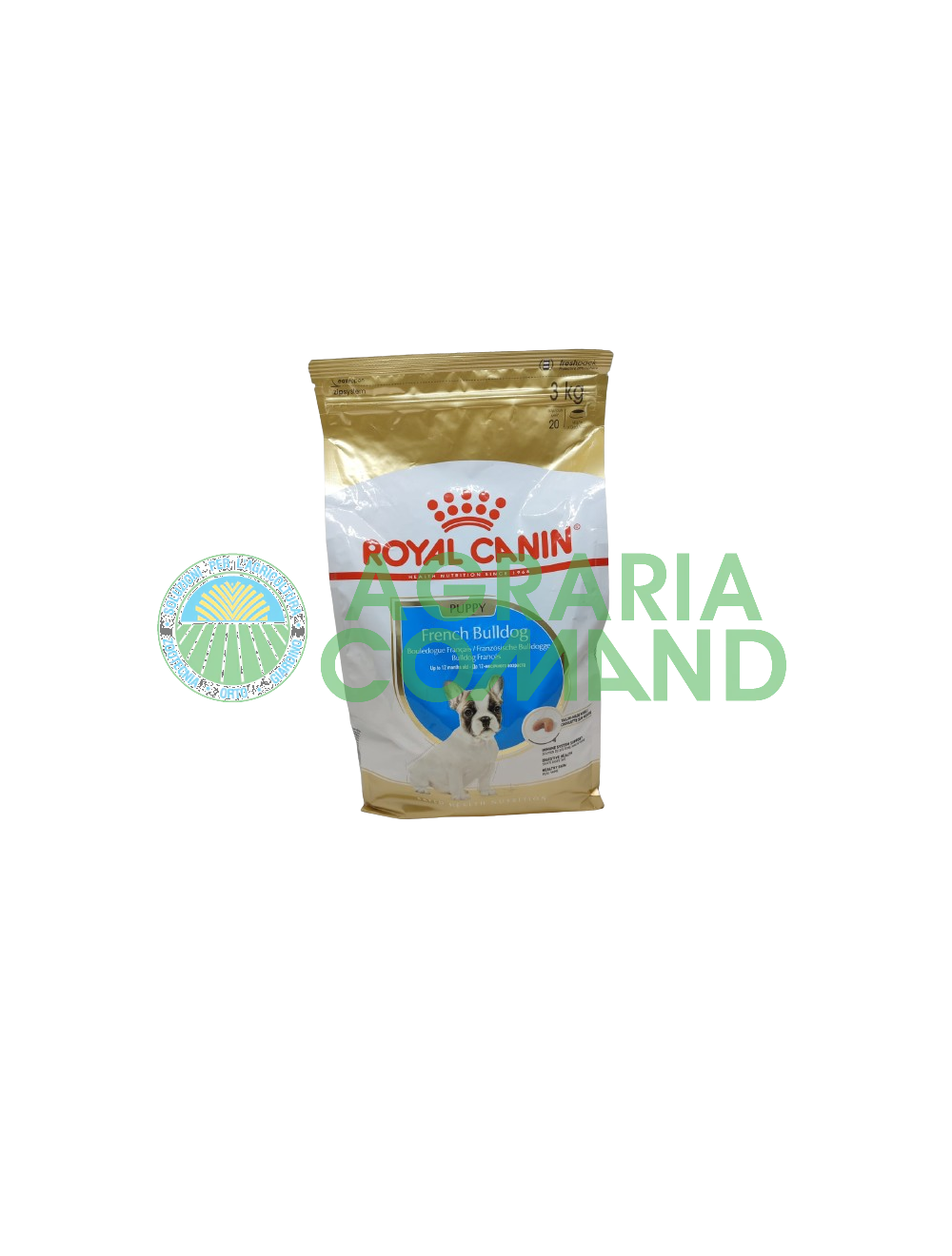 Bulldog Francés Cachorro 3 kg Bulldog Francés Cachorro 3 kg