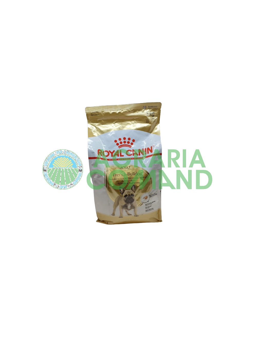 Bulldog francés > 12 meses Bulldog francés > 12 meses