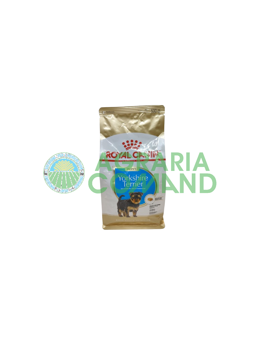 Yorkshire Terrier cachorro 500gr