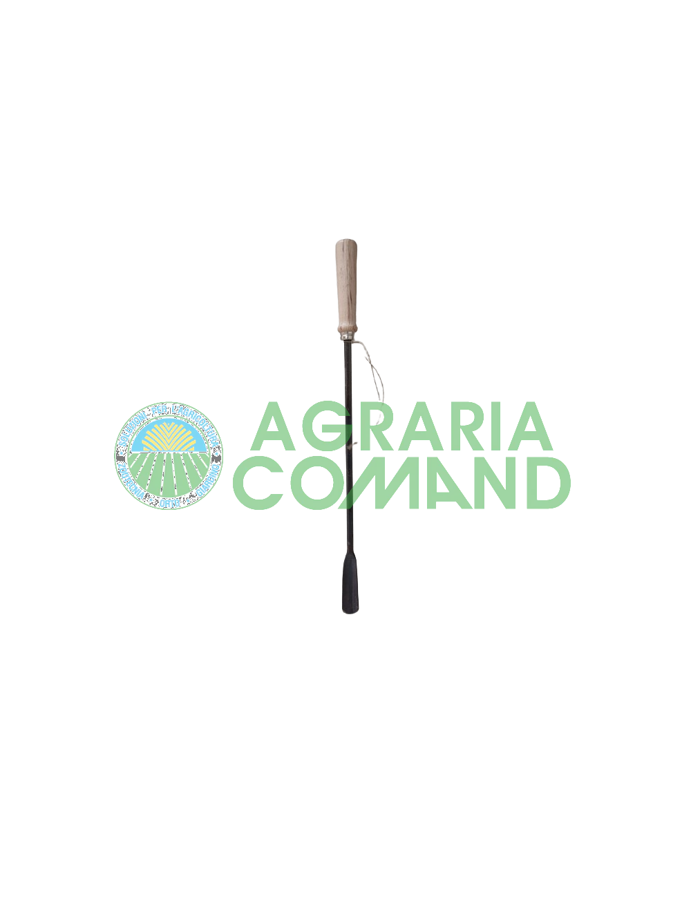 Espárragos palanca de hierro Espárragos palanca de hierro