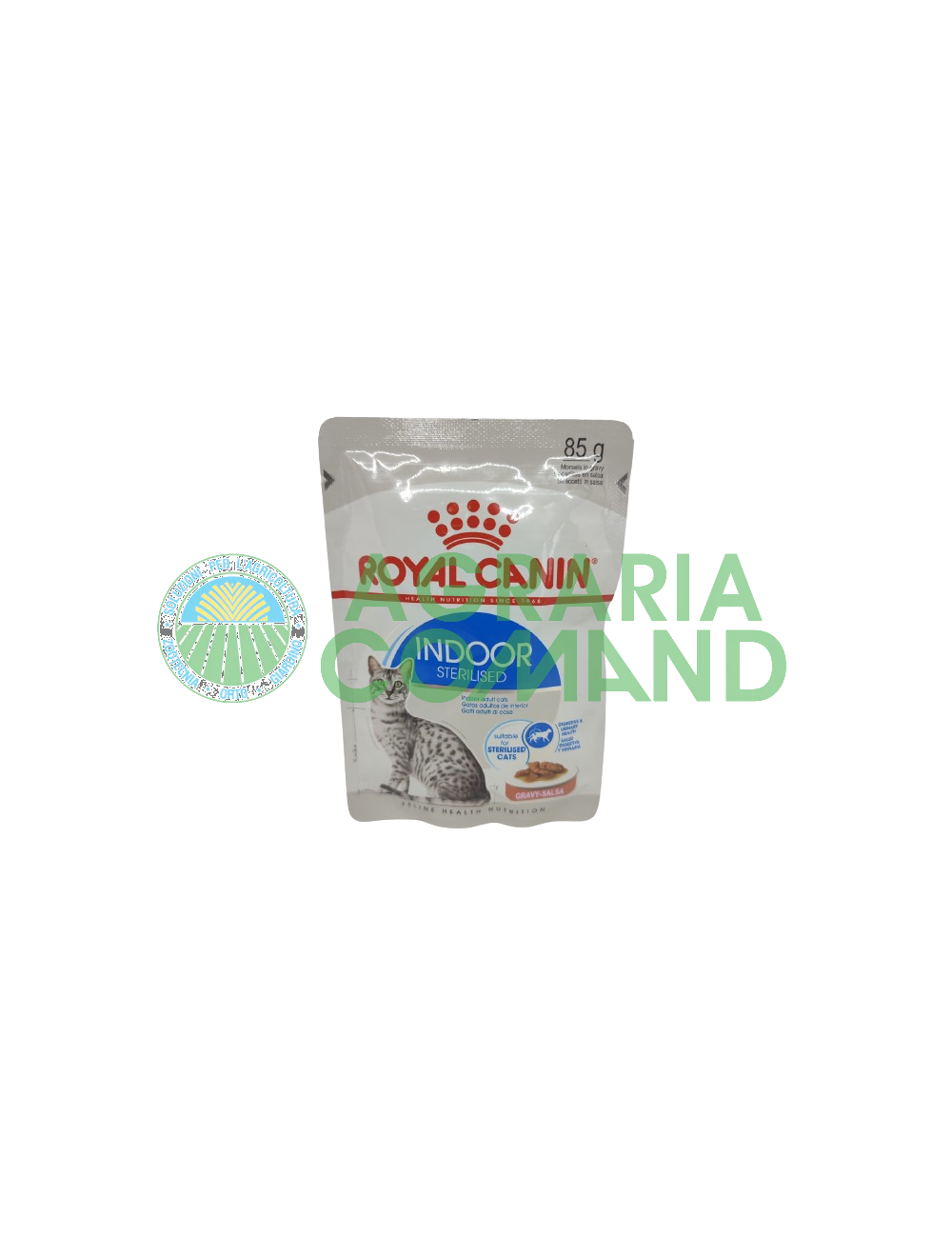 mordeduras de gatos esterilizados de interior