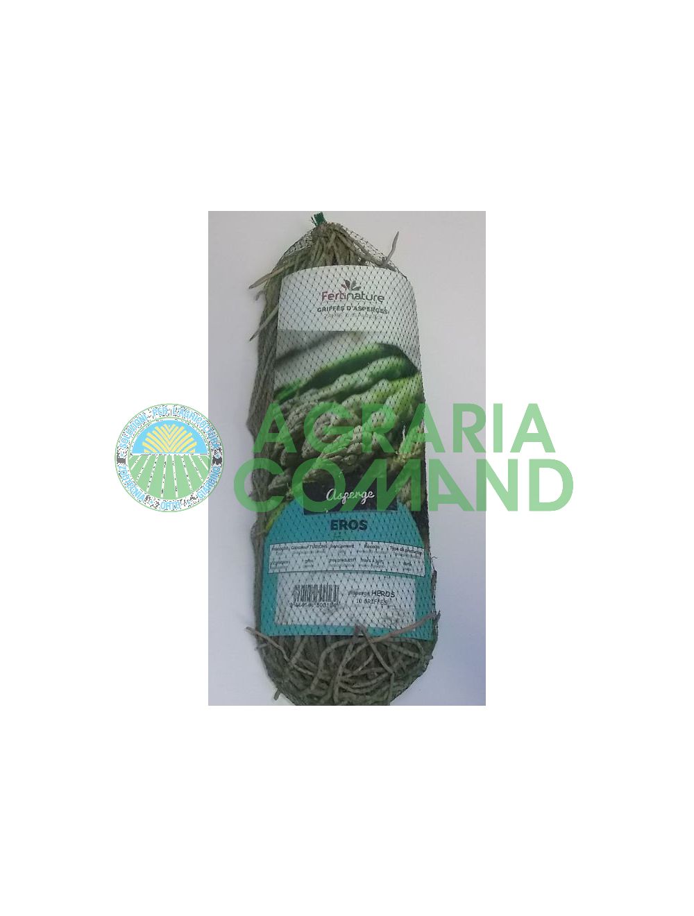 Piernas de espárrago verde Eros