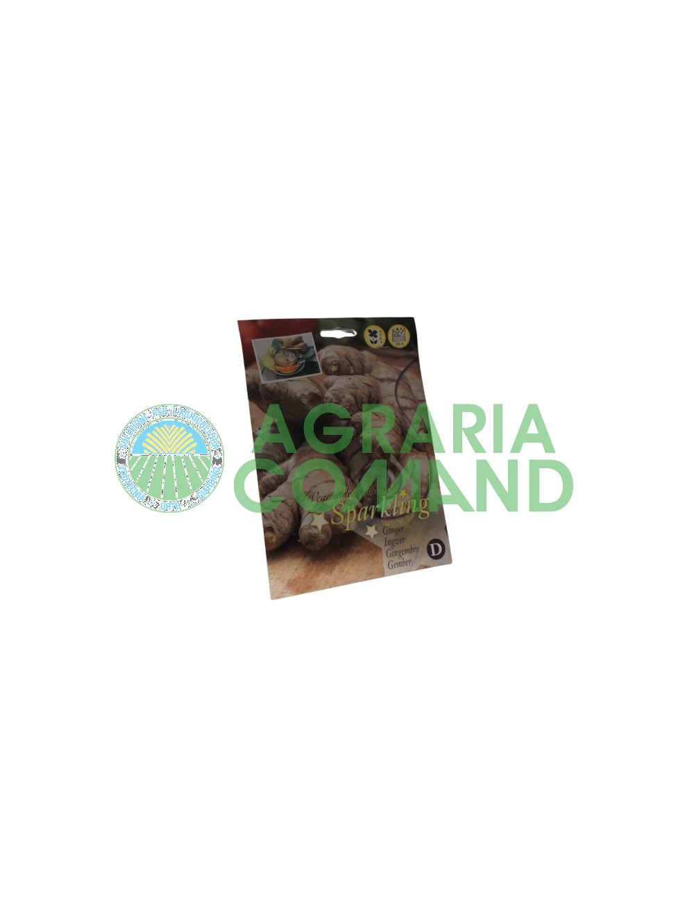 Raíz de jengibre de semilla