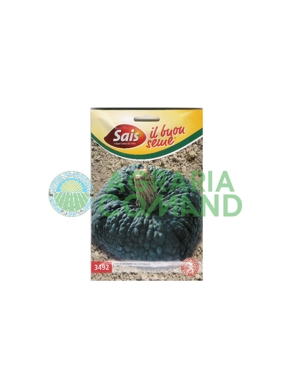 Zucca marina di chioggia Zucca marina di chioggia