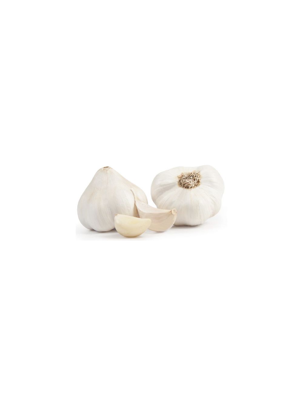 ajo blanco marfil