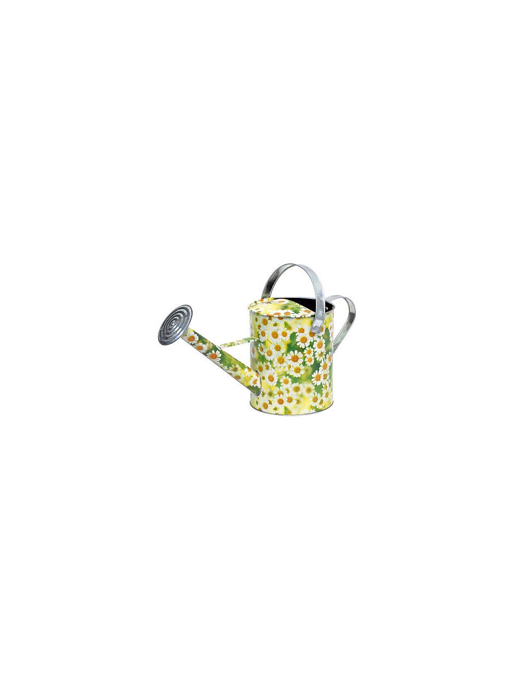 Regadera_zinc_con_margeritas_lt_5