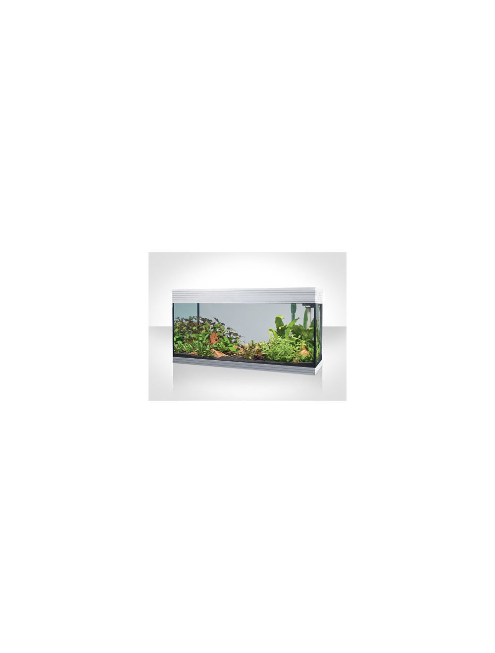 Askoll_Pure_Led_Xl