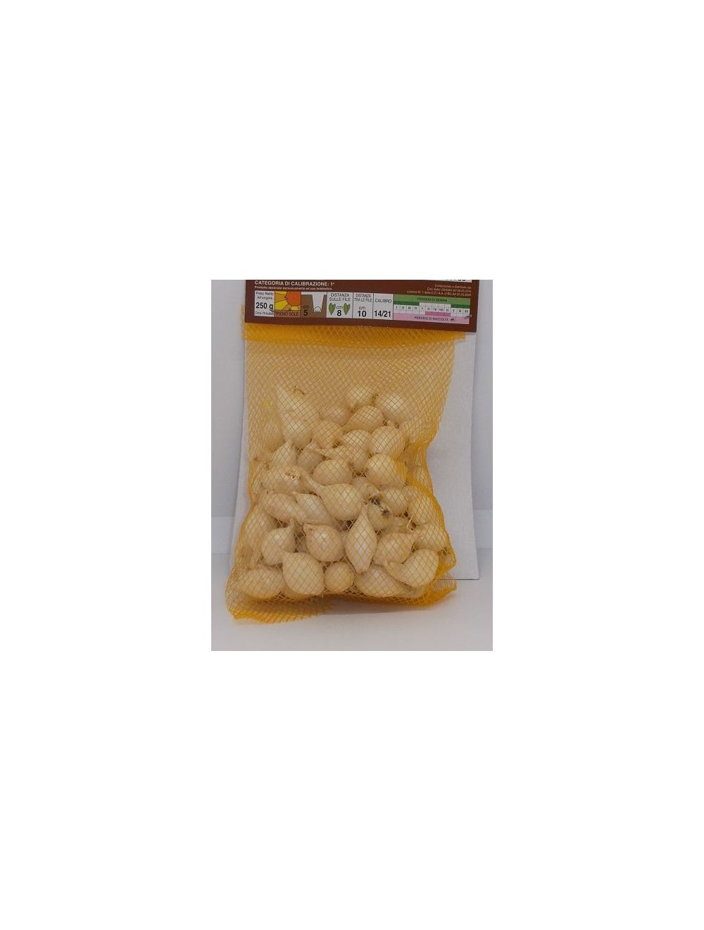 bulbillos de cebolla blanca