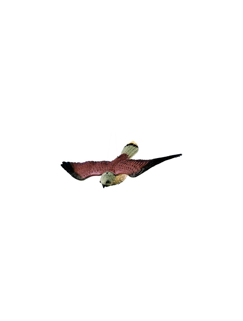 Espantapájaros_hawk_in_plastic