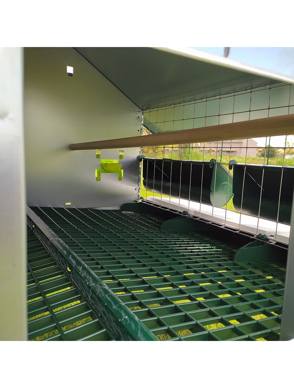 Interior del gallinero