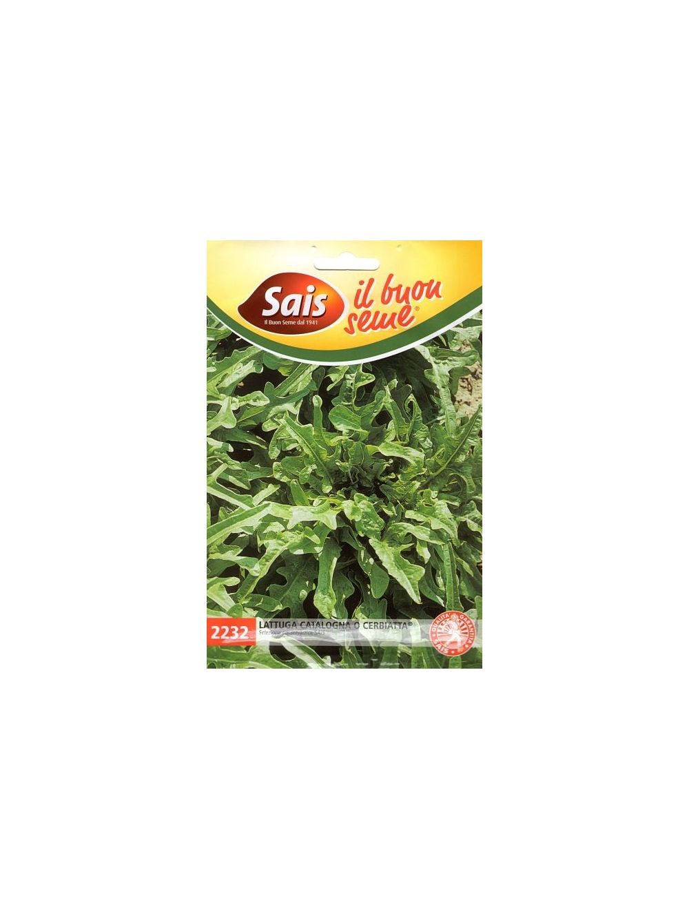 Lechuga de Cataluña