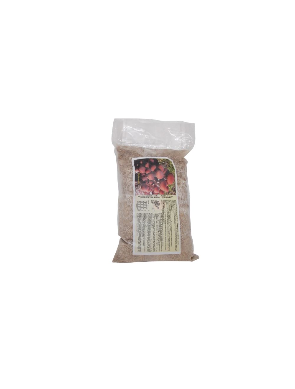 Micelio fresco de álamo