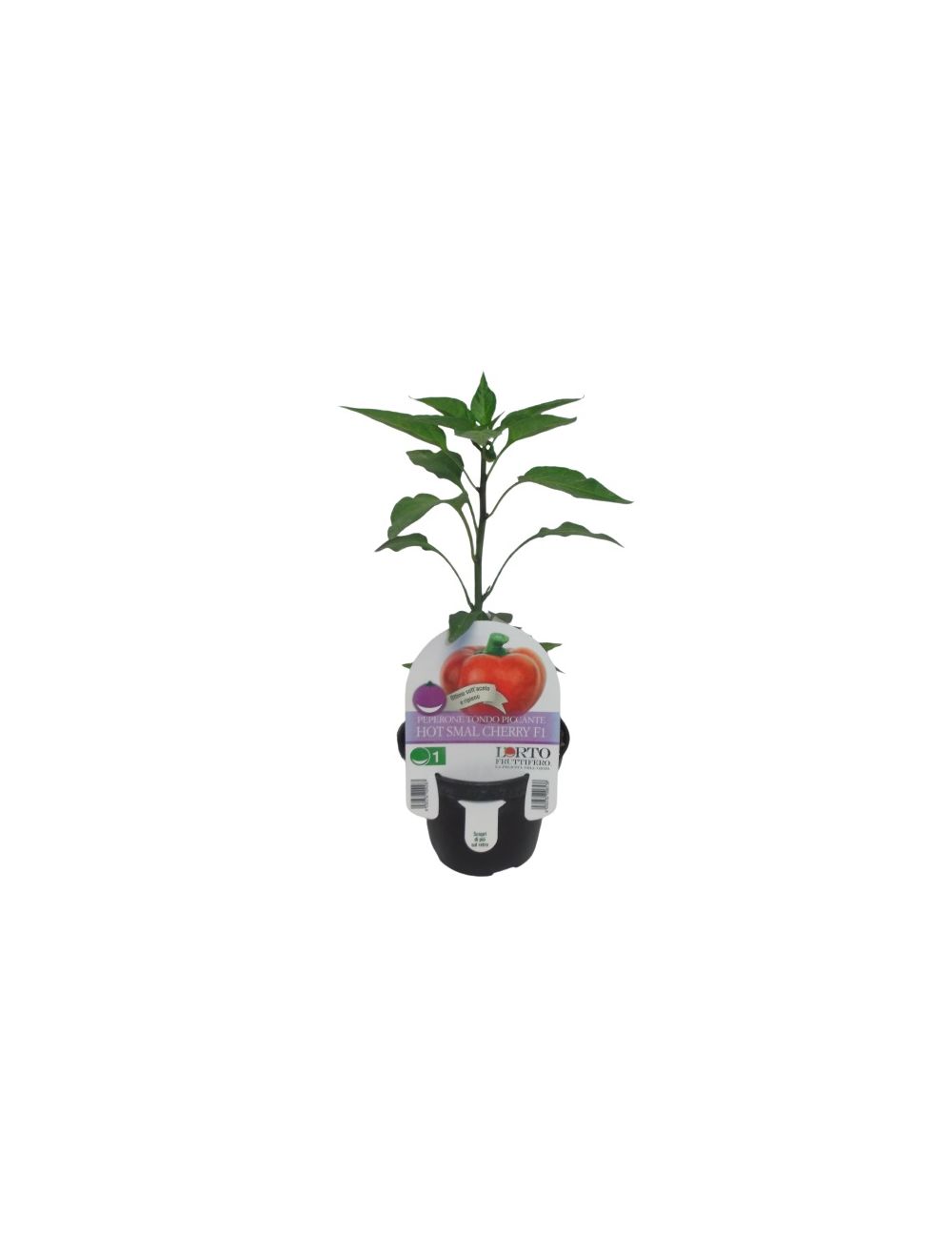 Planta de pimiento Hot Smal Cherry