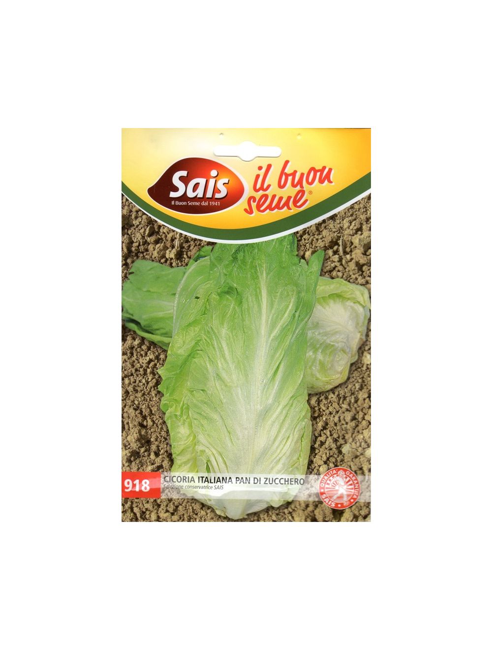 Semillas de achicoria Sugarloaf