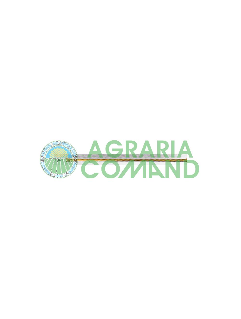 Caña_en_bronce_50_cm
