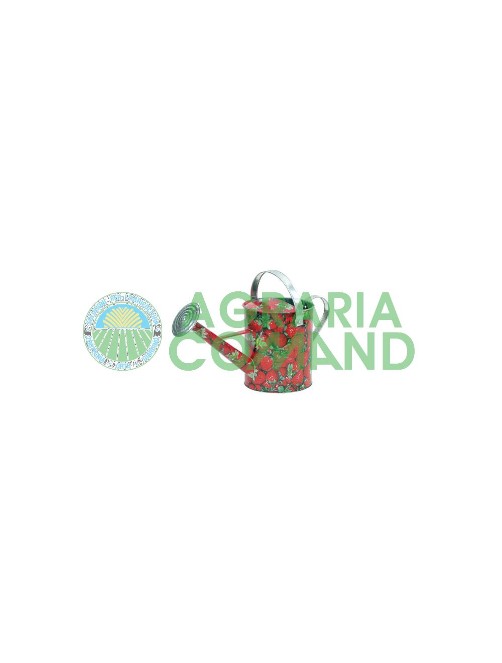 Regadera_zinc_con_fresas_lt_5
