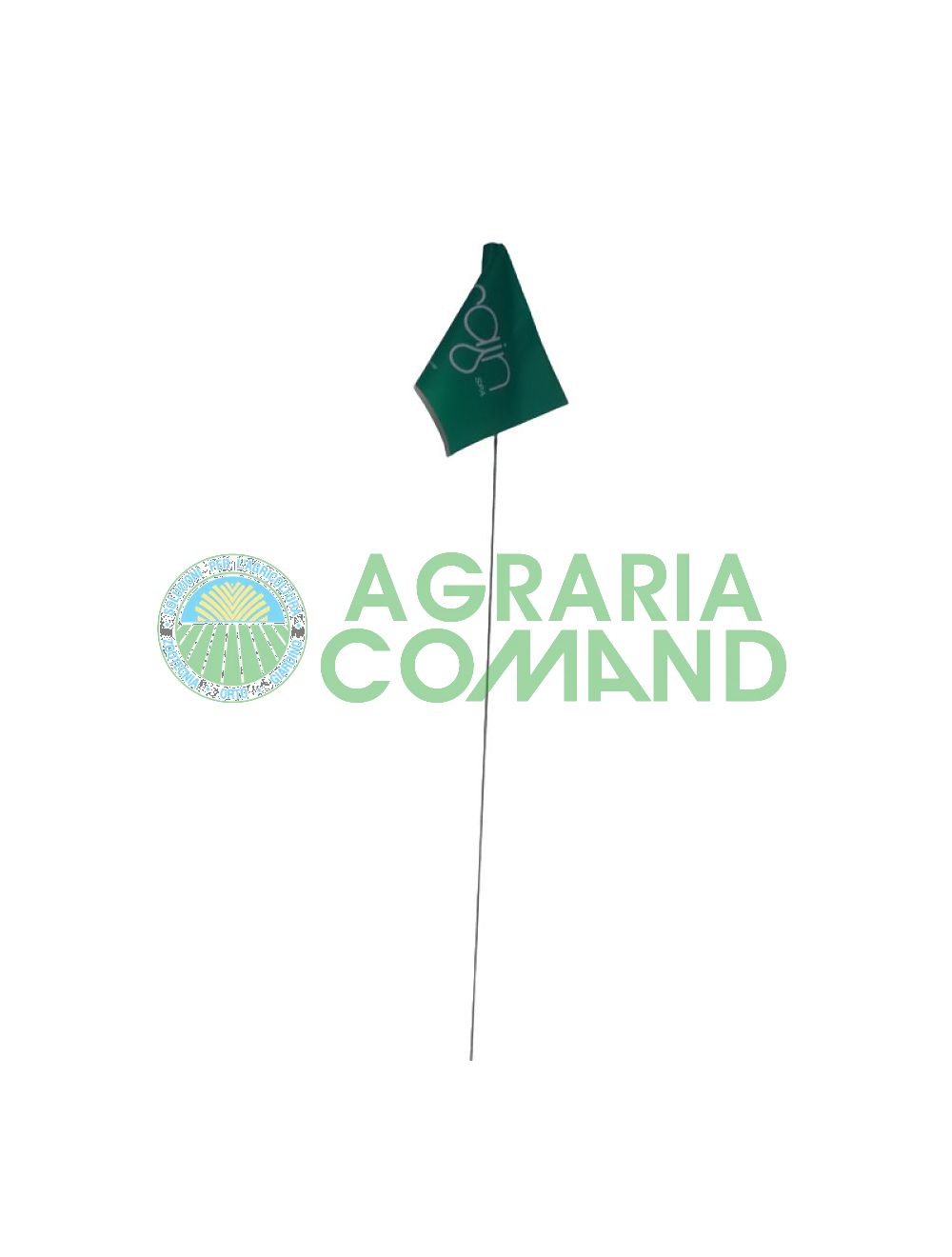 Bandera de señalización