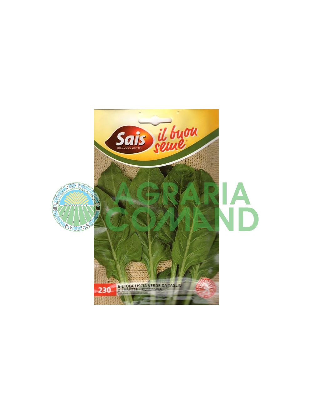 Acelga verde