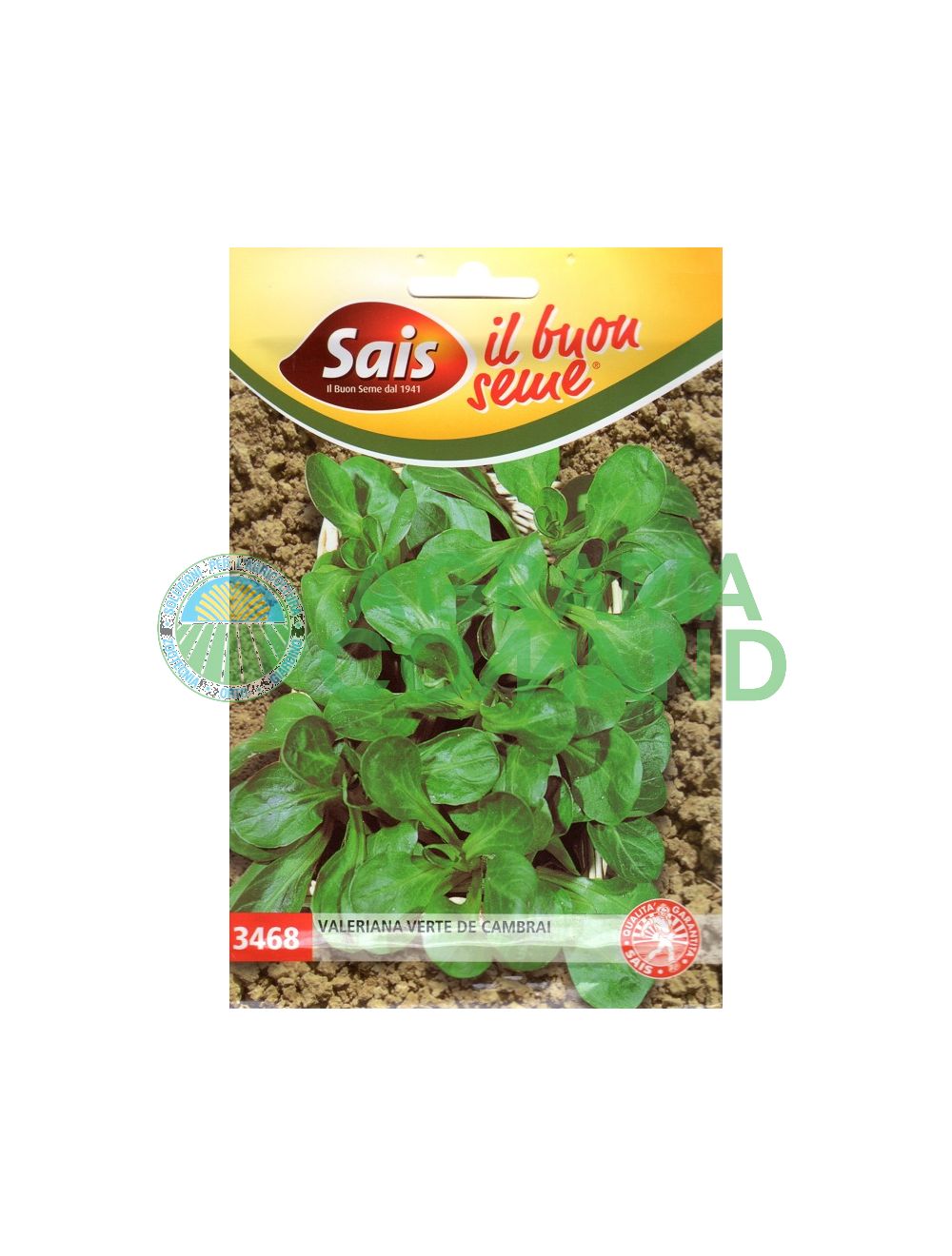 Valeriana verde de Cambrai