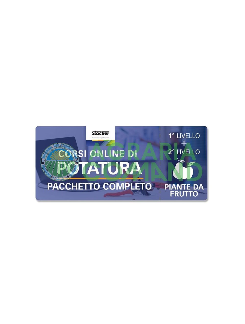 Curso de poda de árboles frutales