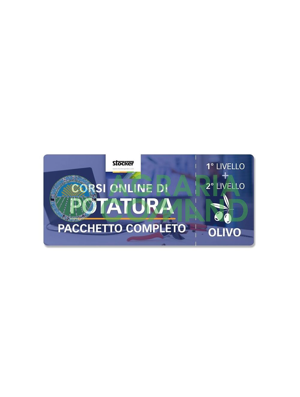 Curso de poda de olivos