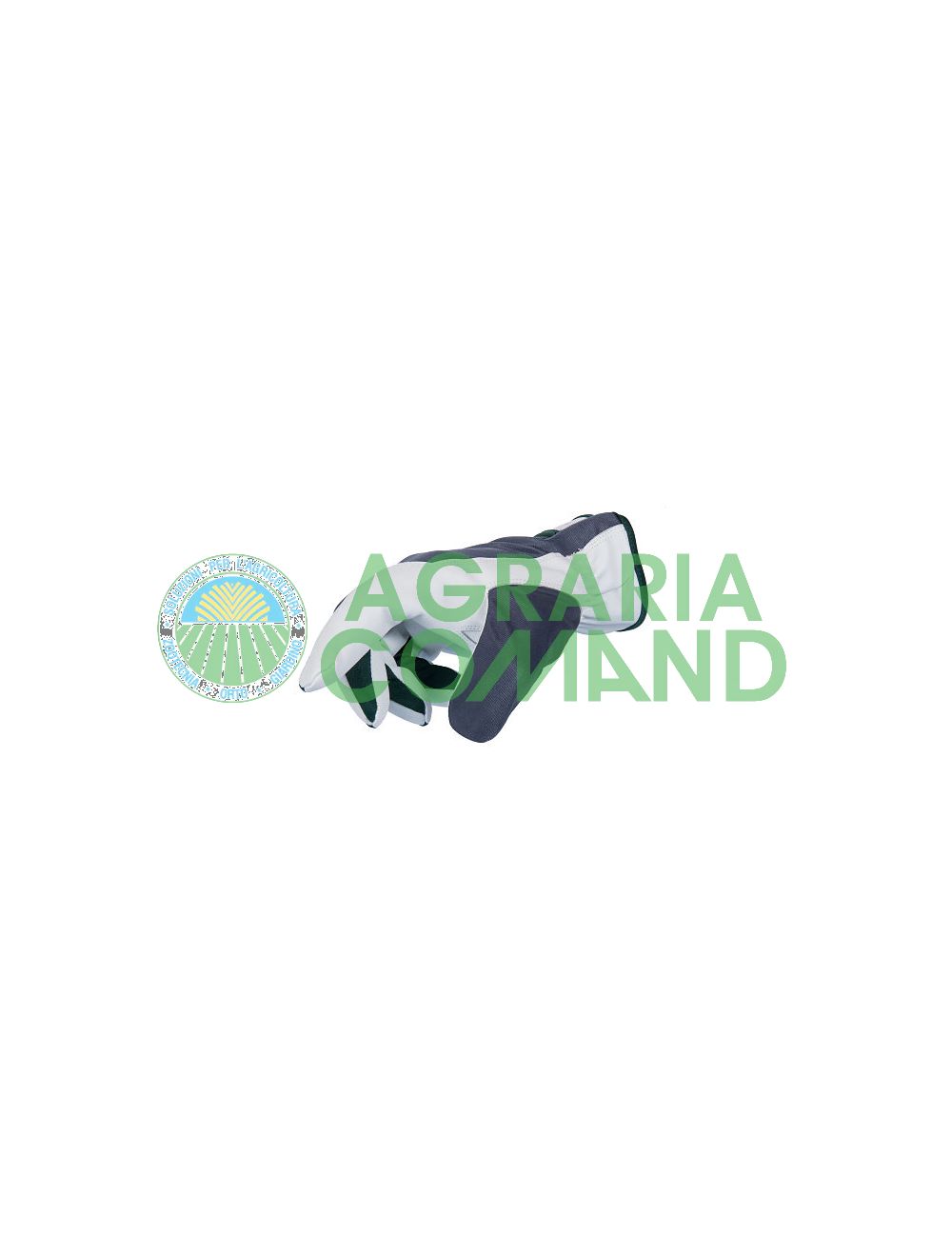 Almacenista de guantes