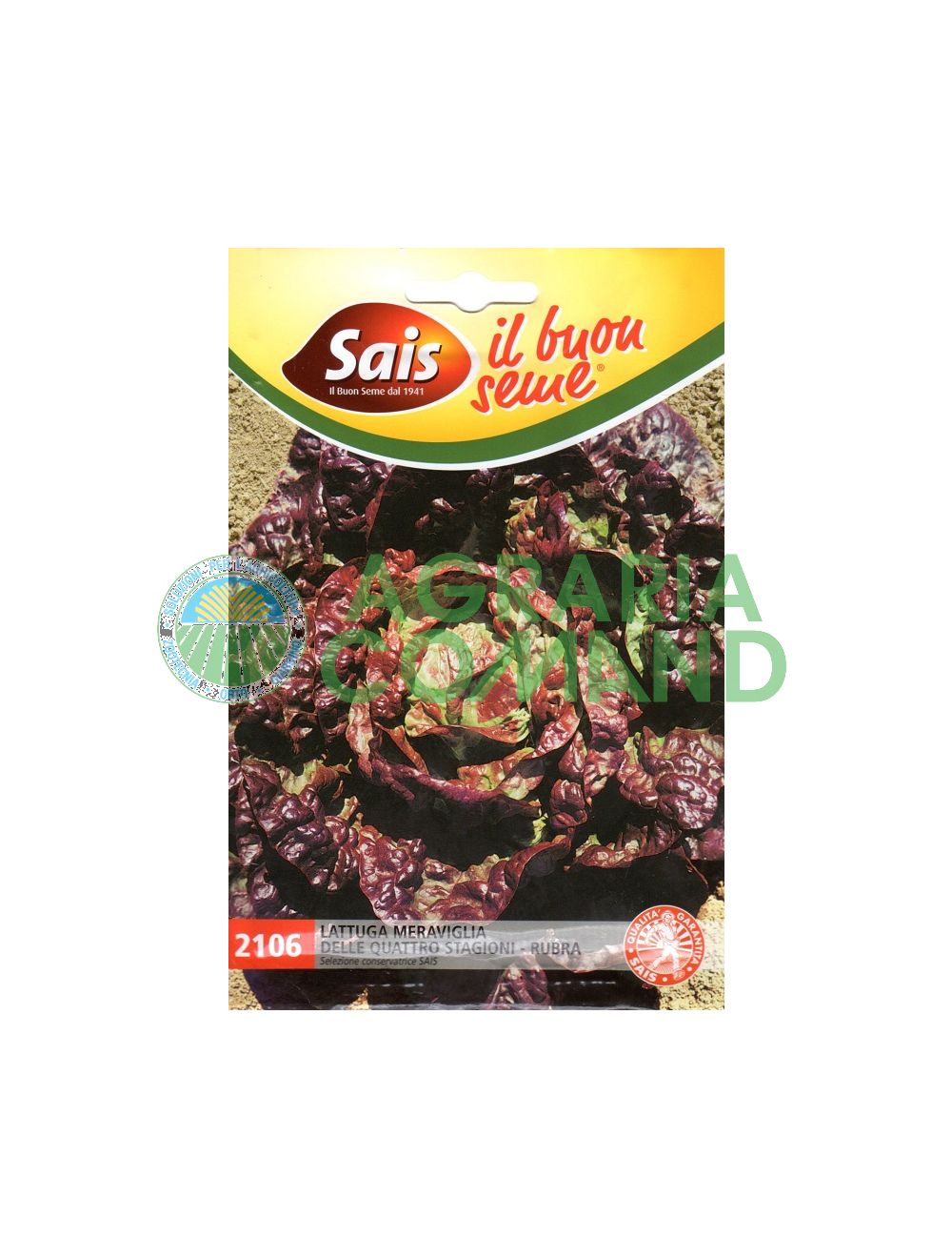 Lechuga rubra 4 estaciones