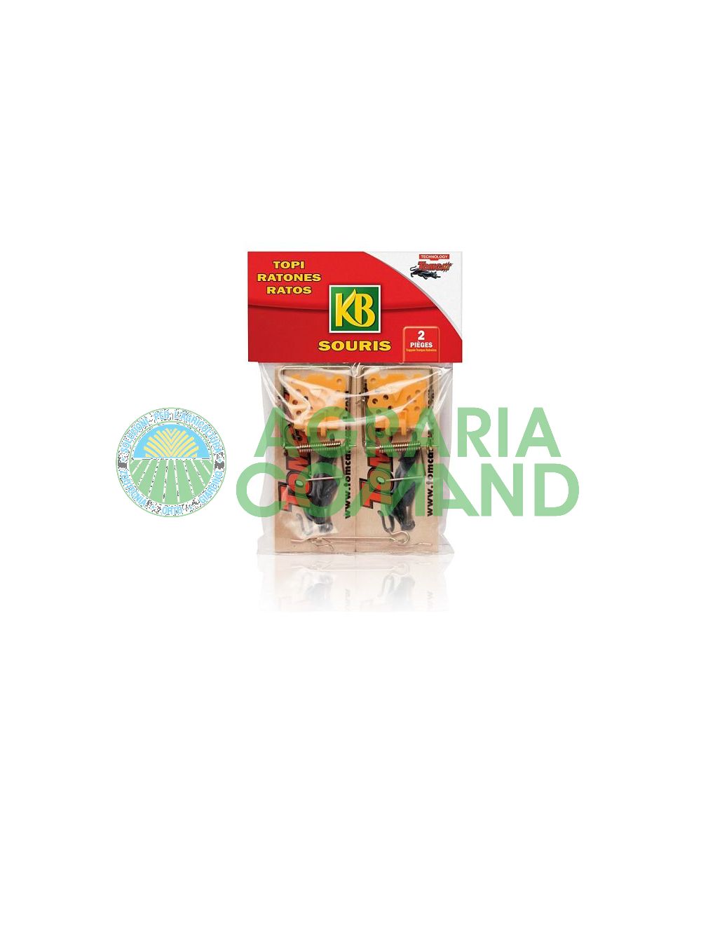 spring_wood_trap