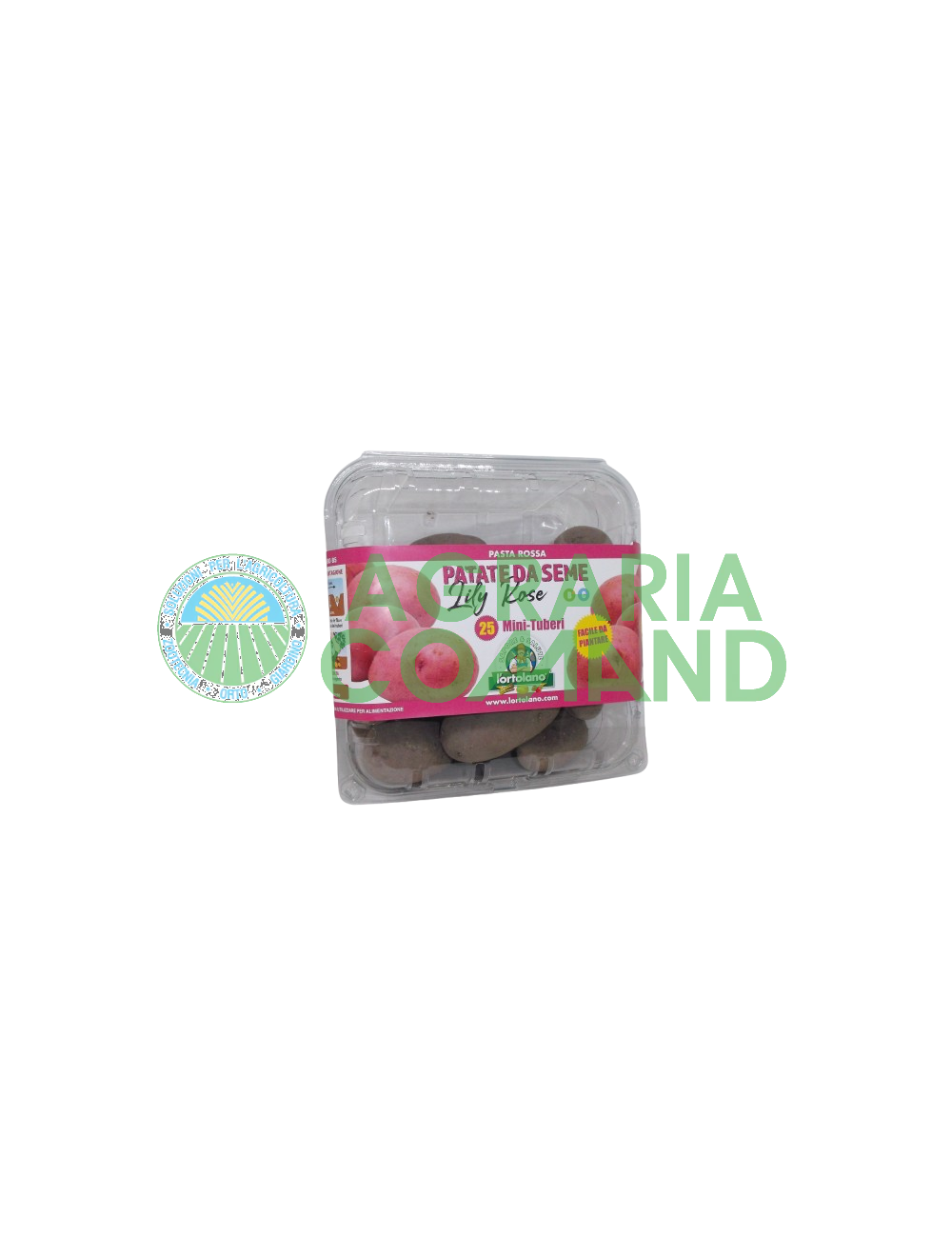 Paquete de patatas de siembra Lilly Rose