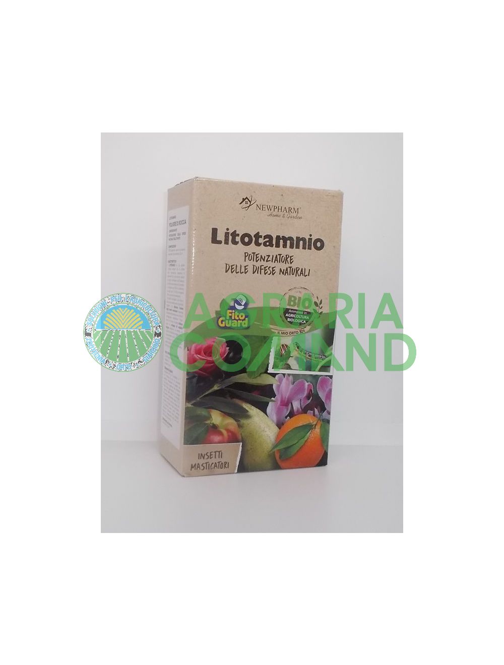 Litotamnio