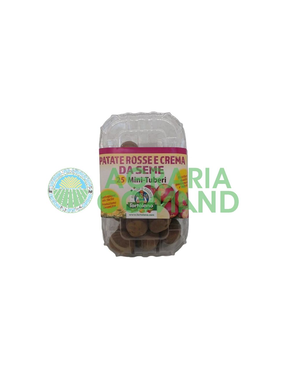 Minitubérculos de patata de siembra