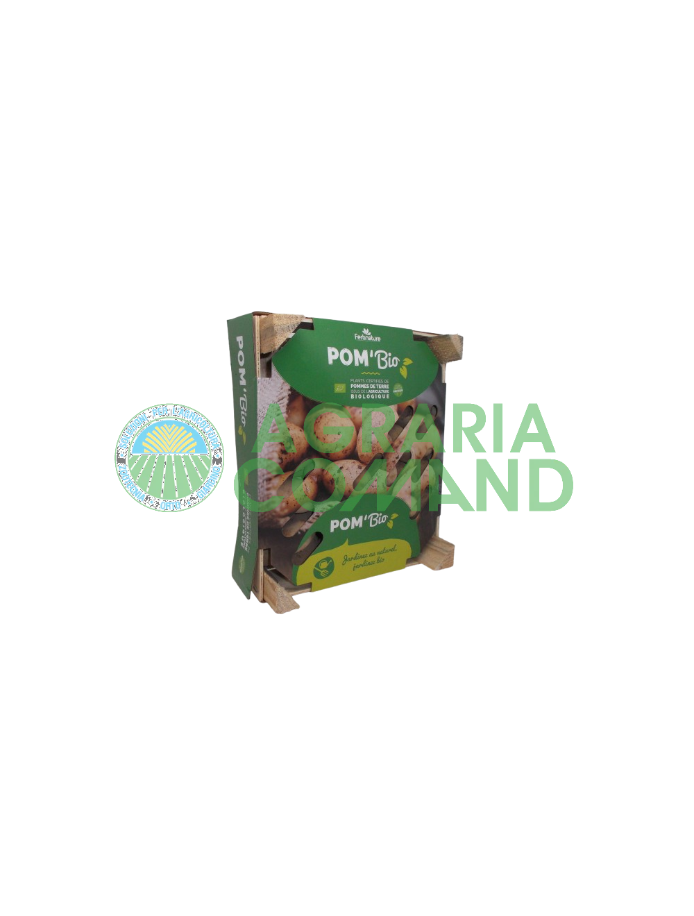 Patatas de siembra ecológicas Charlotte