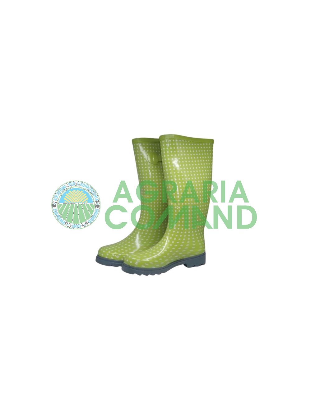 Botas de mujer