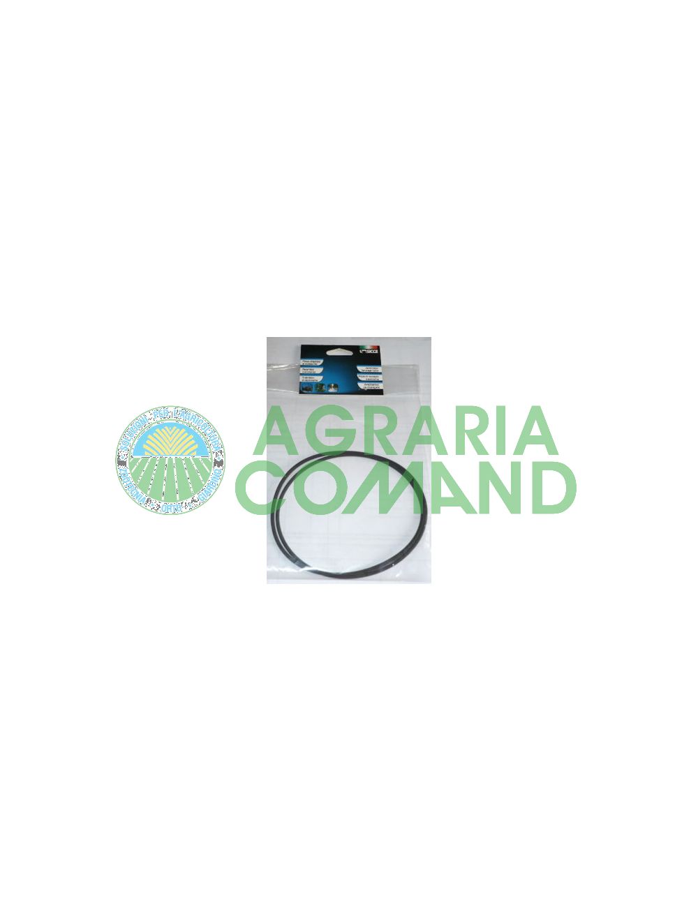 o filtro anular Verde Reset 25 40 Sicce