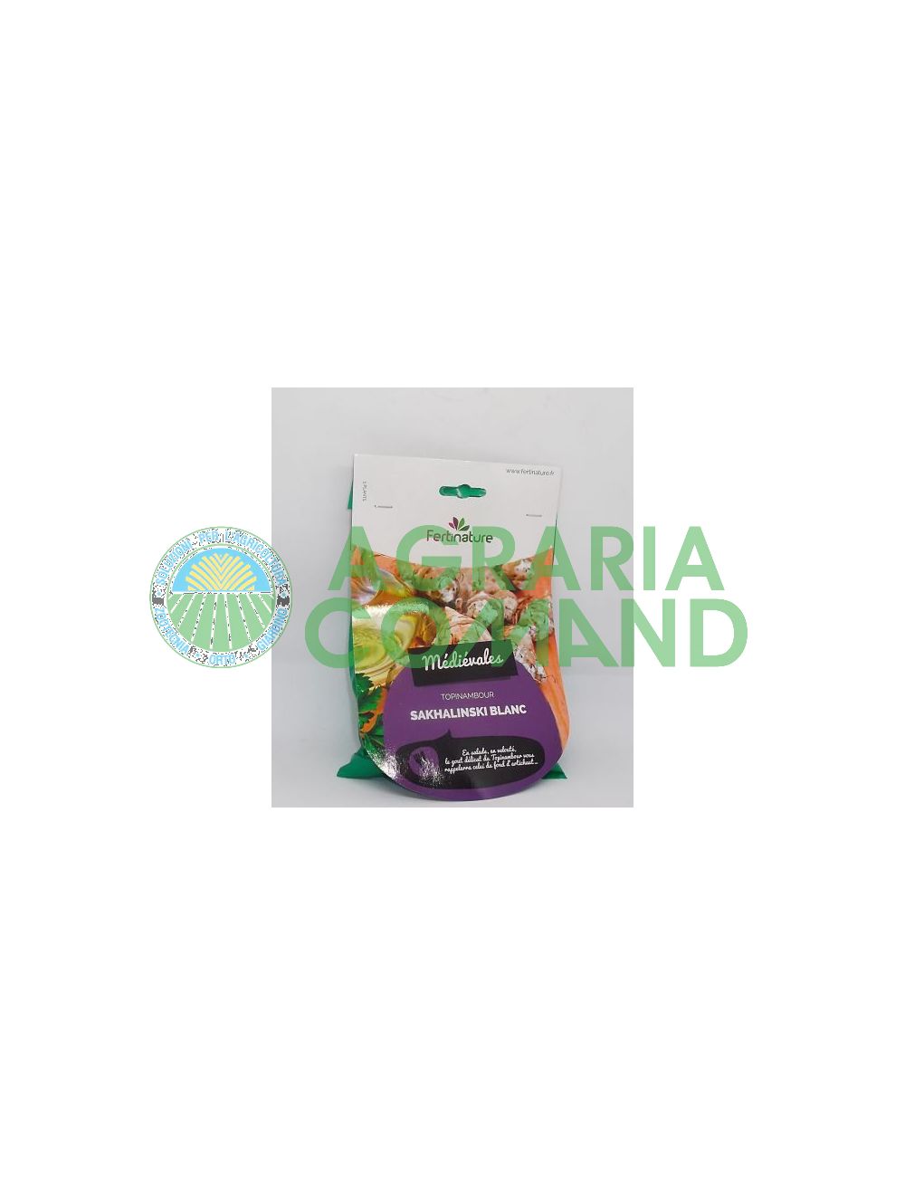Aguaturma rizoma blanco Aguaturma rizoma blanco