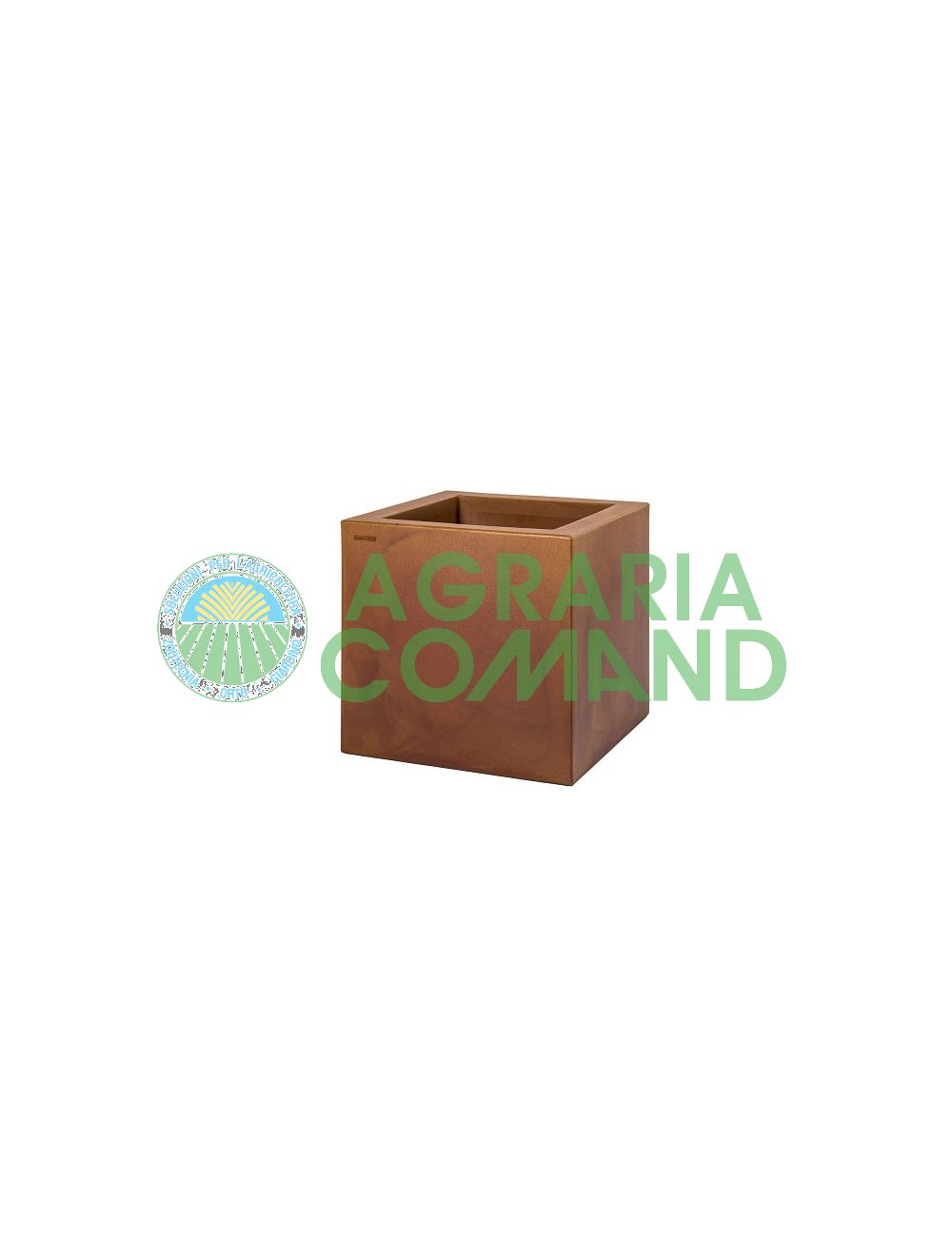 Corten