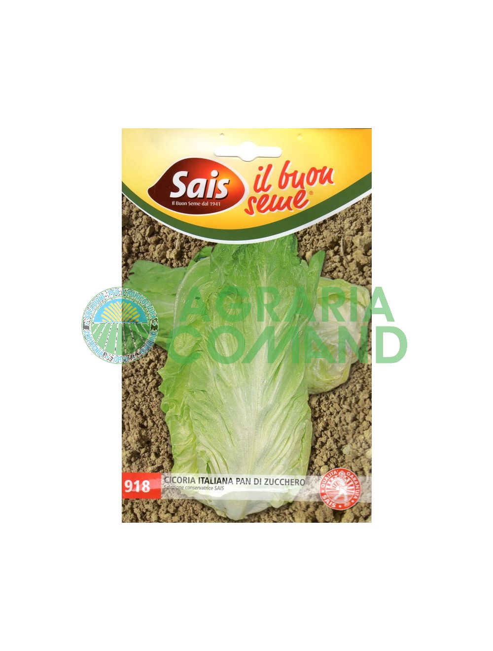 Semillas de achicoria Sugarloaf